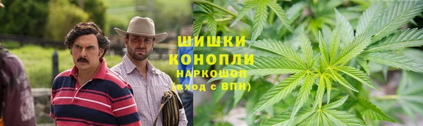 ПСИЛОЦИБИНОВЫЕ ГРИБЫ Алексеевка