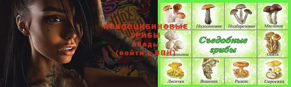 ПСИЛОЦИБИНОВЫЕ ГРИБЫ Алексеевка