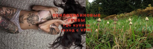 ПСИЛОЦИБИНОВЫЕ ГРИБЫ Алексеевка