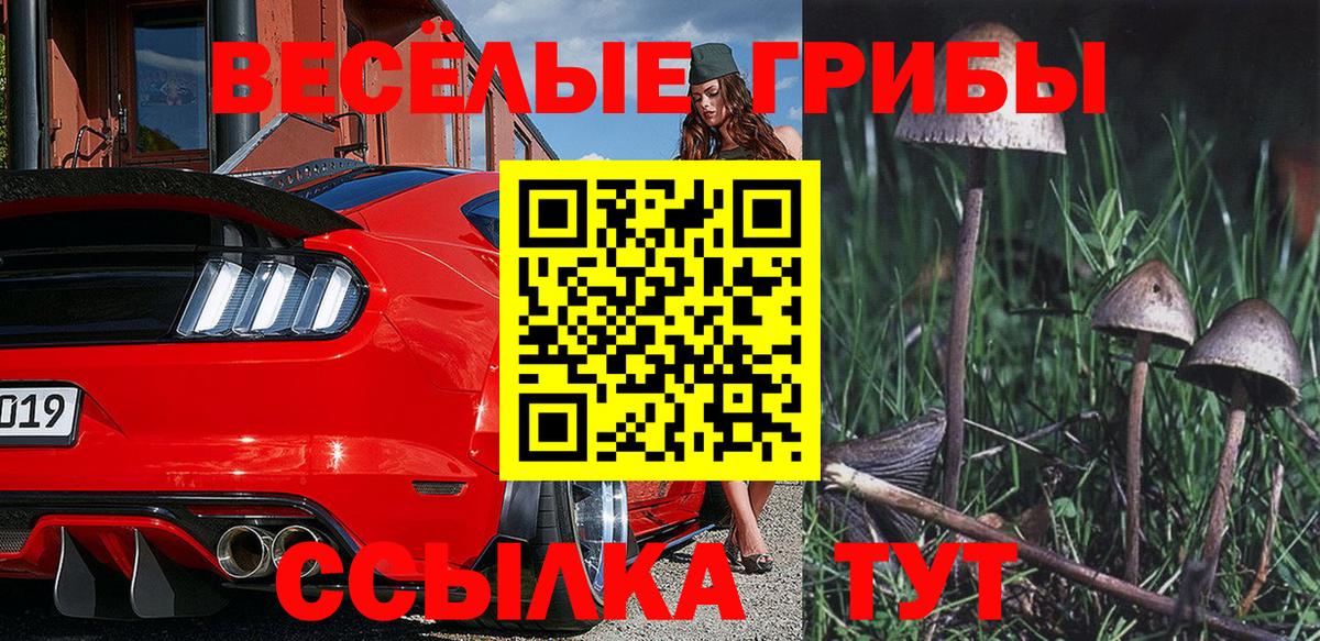 Псилоцибиновые грибы MAGIC MUSHROOMS  Вход с VPN  Салават 