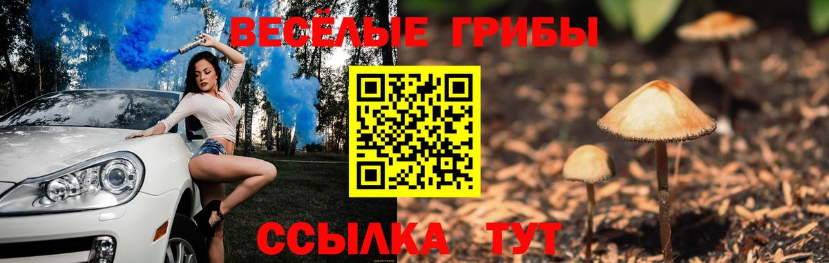 APVP Салават