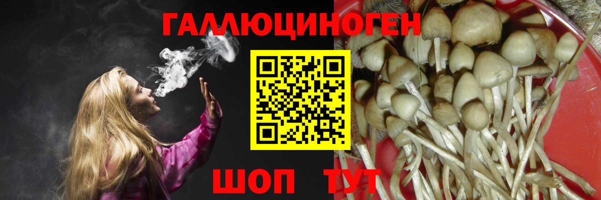 Галлюциногенные грибы мухоморы Салават